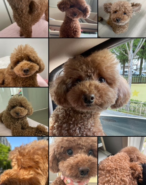잘자 이미지