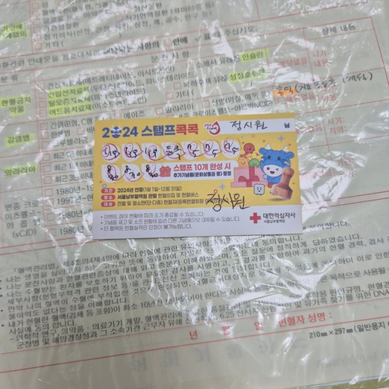 디쥬씨댓 이미지