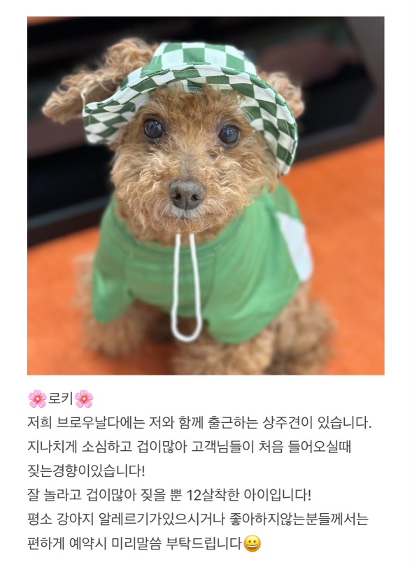 브로우날다 이미지