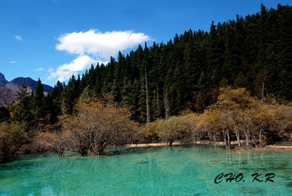 중국여행, “오색 찬란한 구채구 (九寨溝) 오채지(五彩池)” : 네이버 블로그