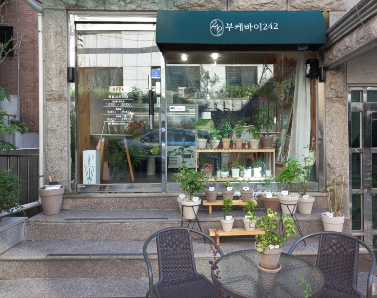 부케바이242 이미지