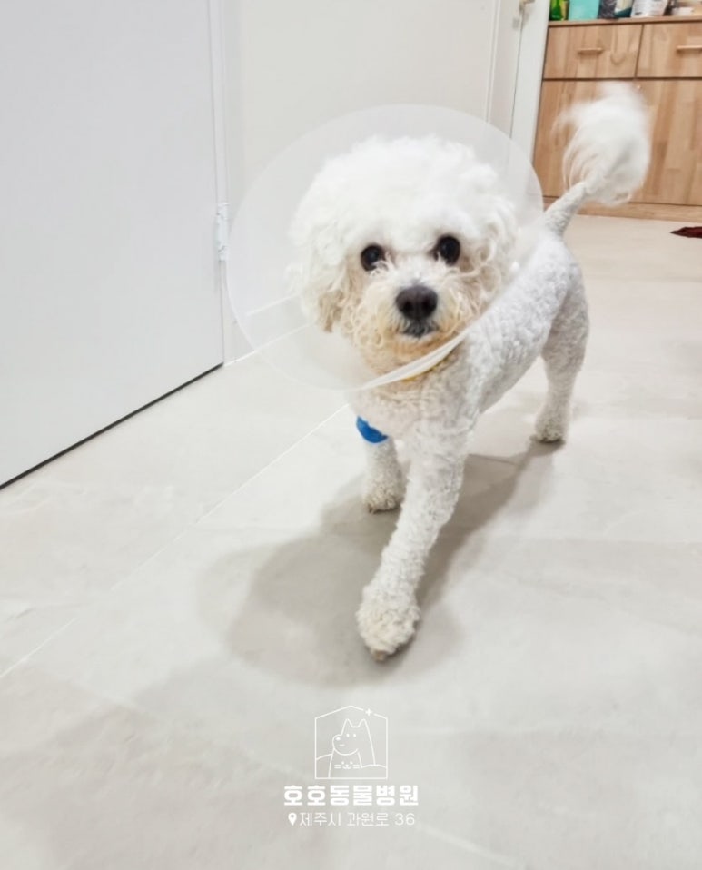 깨끗하게호호 이미지