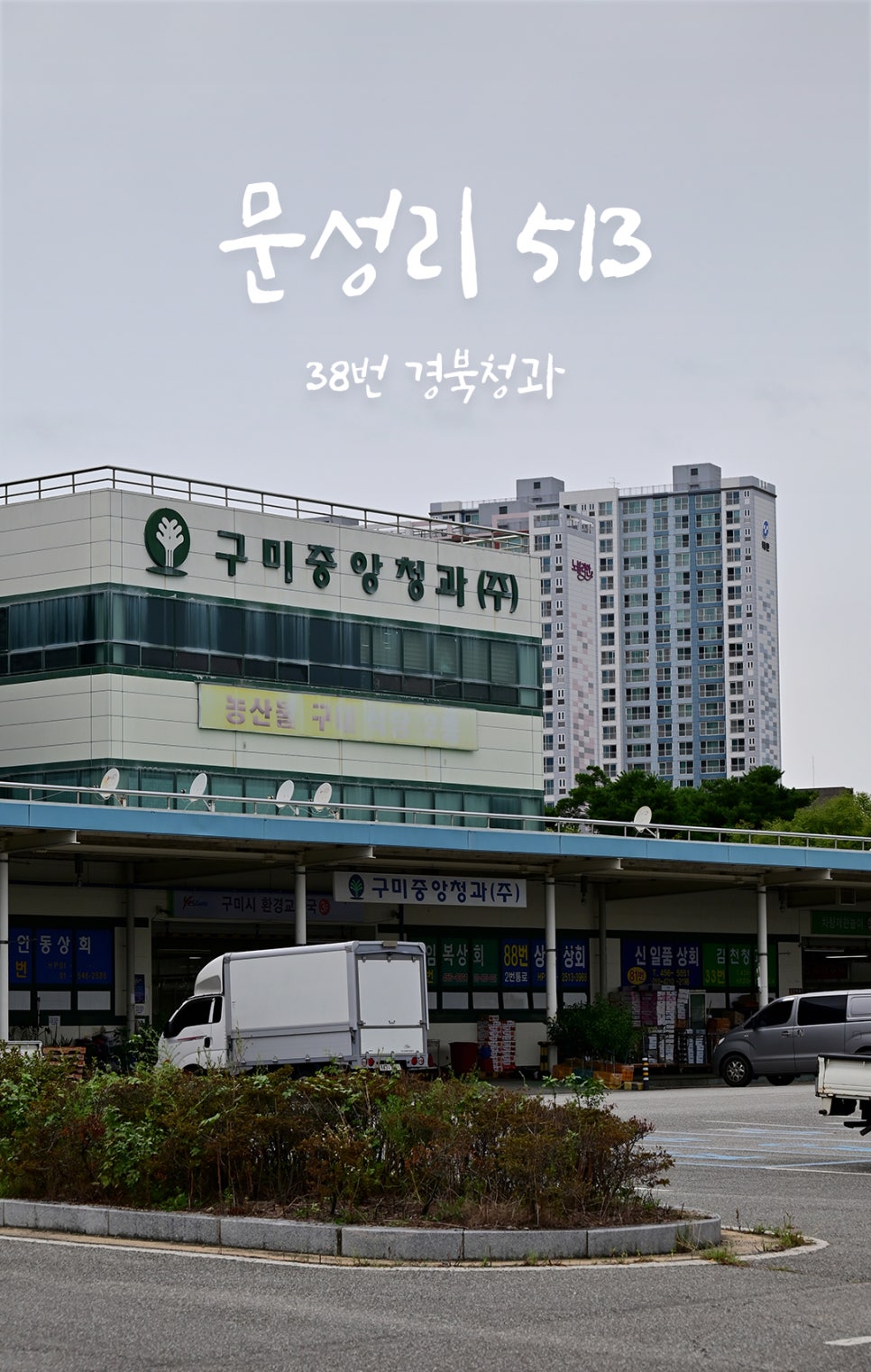 골목청과 이미지