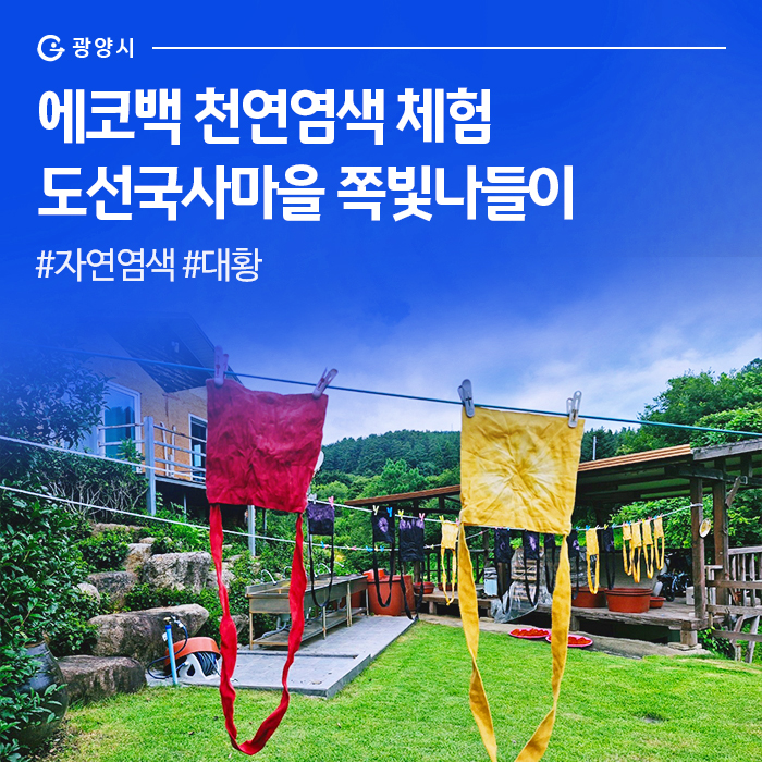 쪽빛나들이 이미지