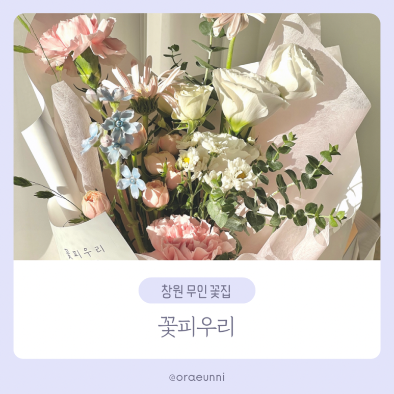 꽃피우리 이미지