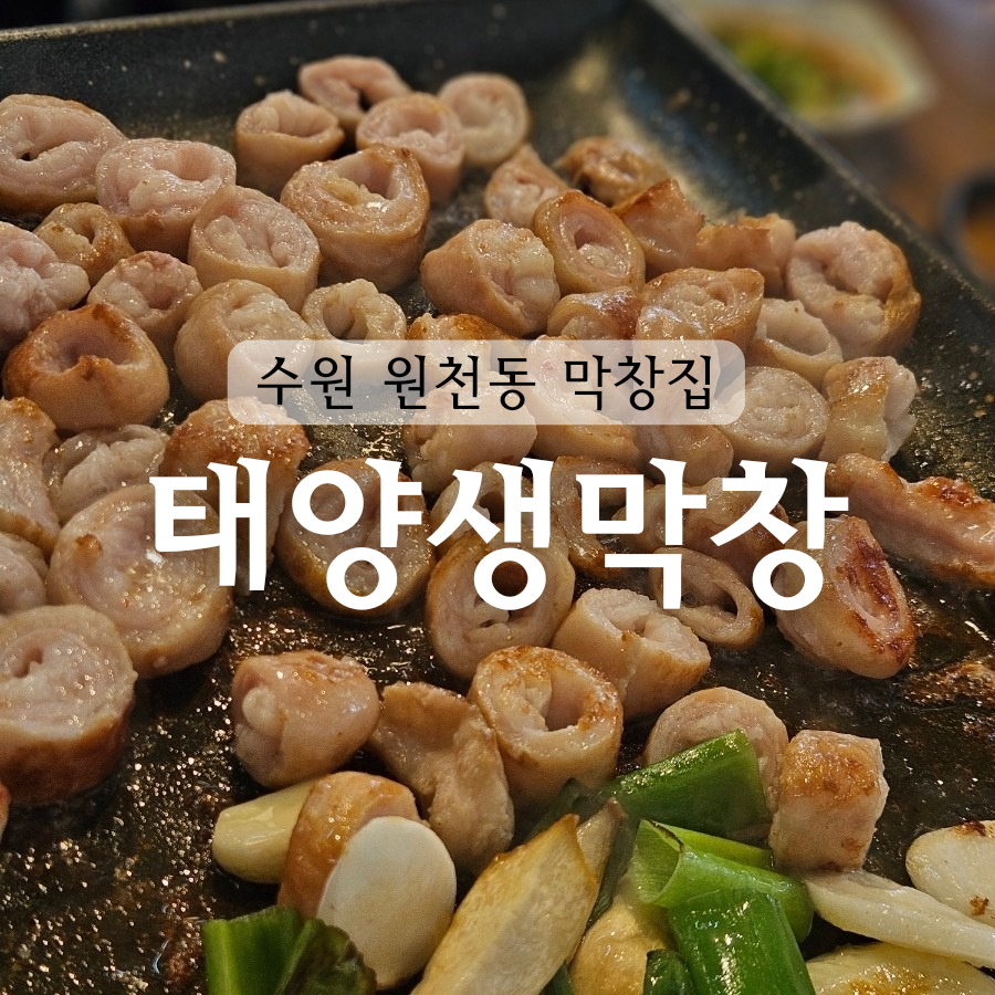 태양생막창 이미지