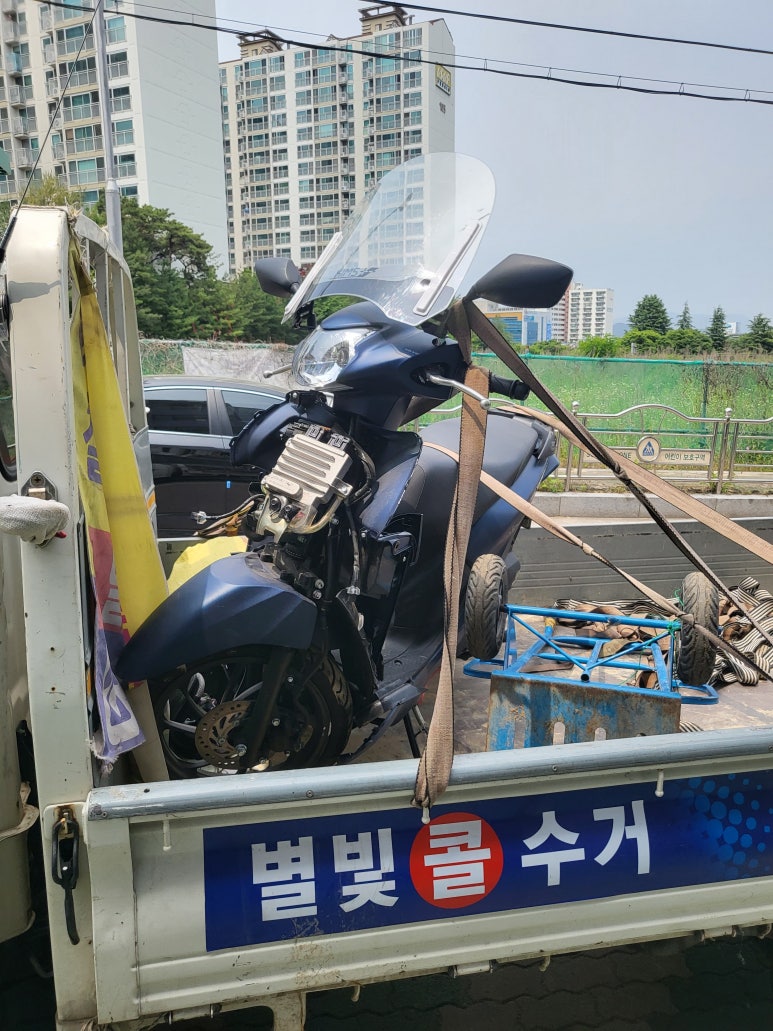 별빛콜수거 이미지