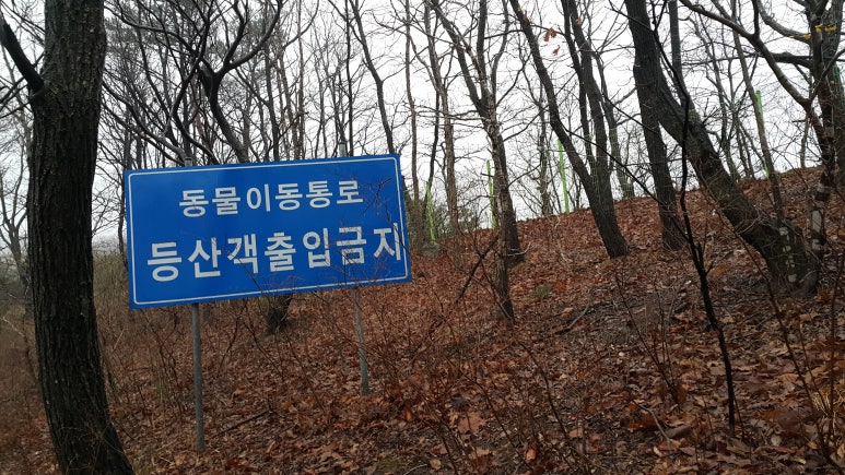 우두령민박 이미지