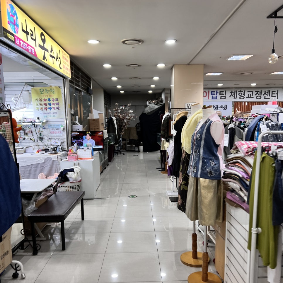 나리수선 이미지