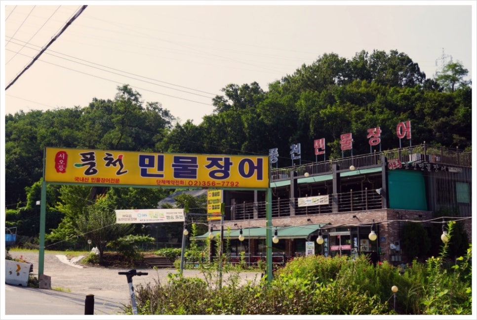 한장어 이미지