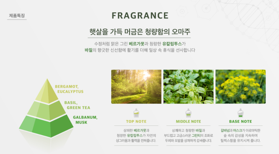 헤어(HAIR)지지마 이미지