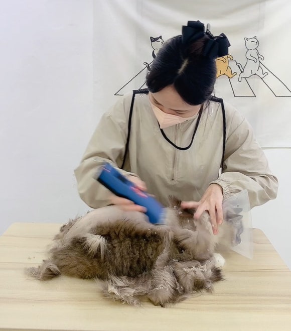 재이미 이미지