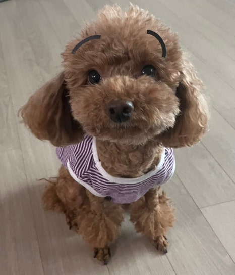 잘자 이미지