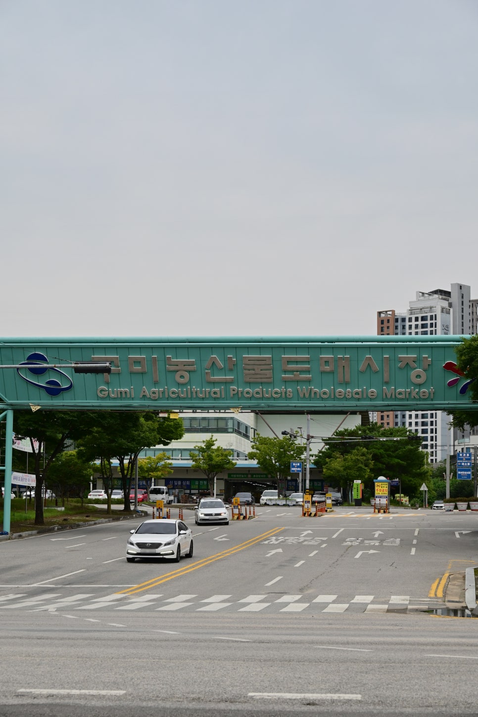 골목청과 이미지