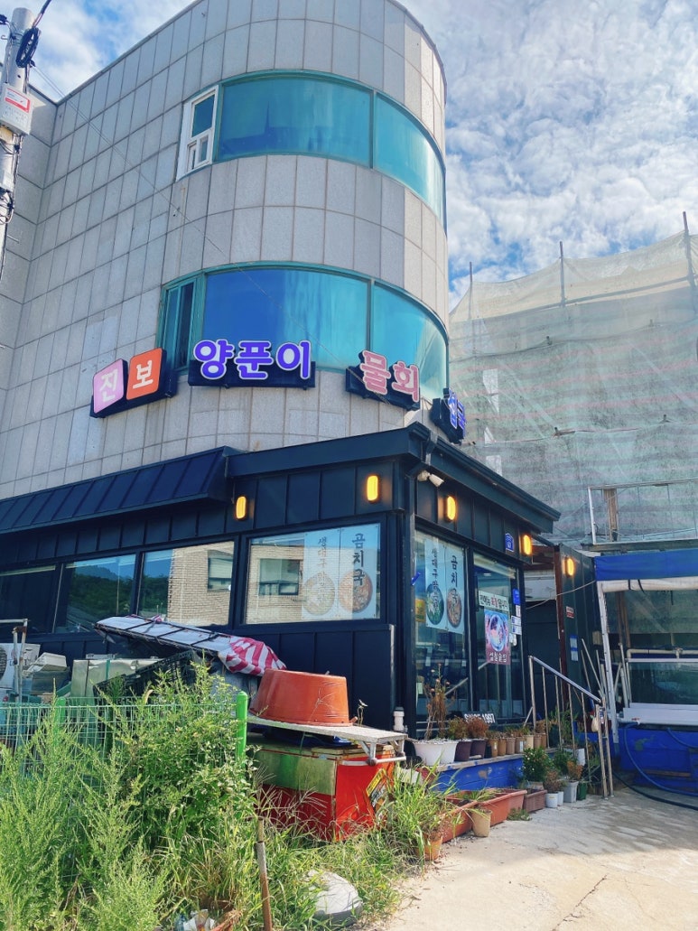 진보양푼이물회 이미지
