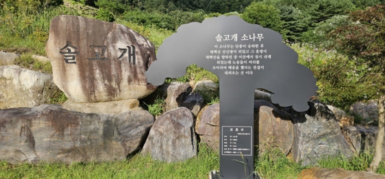 산솔원주 이미지