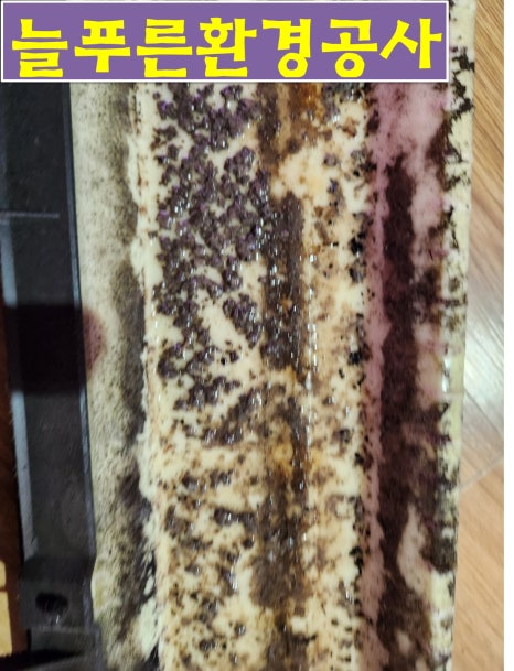 늘푸른환경청소 이미지