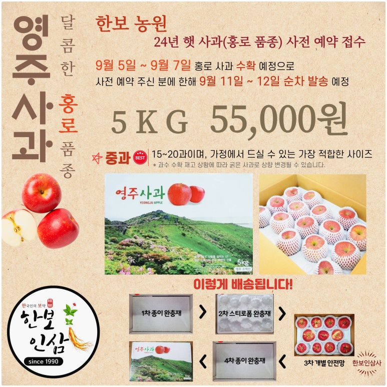 풍기인삼시장 한보인삼사 이미지