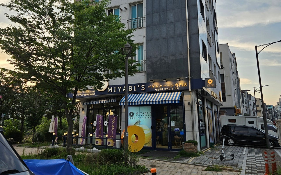 야비스 이미지