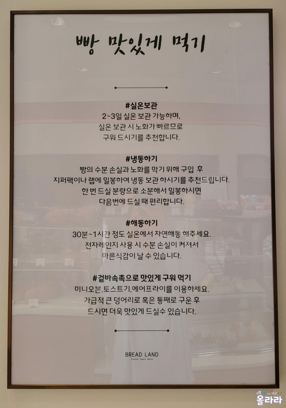 브레드랜드(BREAD LAND) 이미지