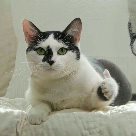 설레 이미지