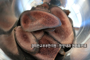 경희부부한의원 이미지