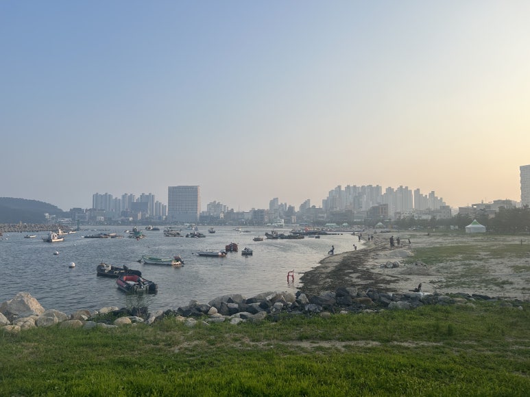 일산초장 이미지