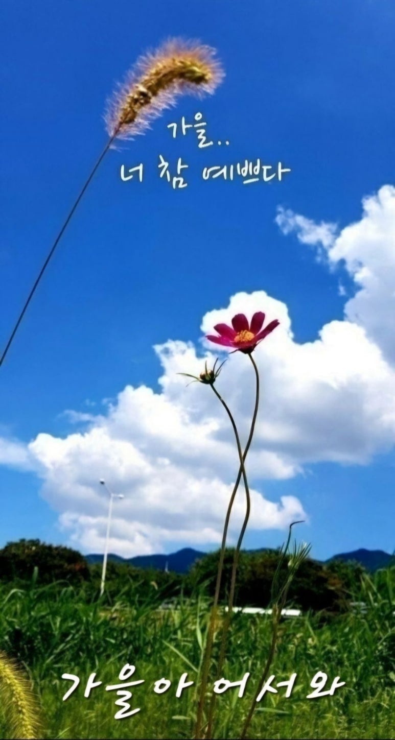 너참예쁘다 이미지