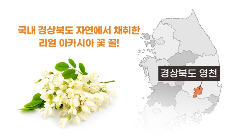비마 이미지
