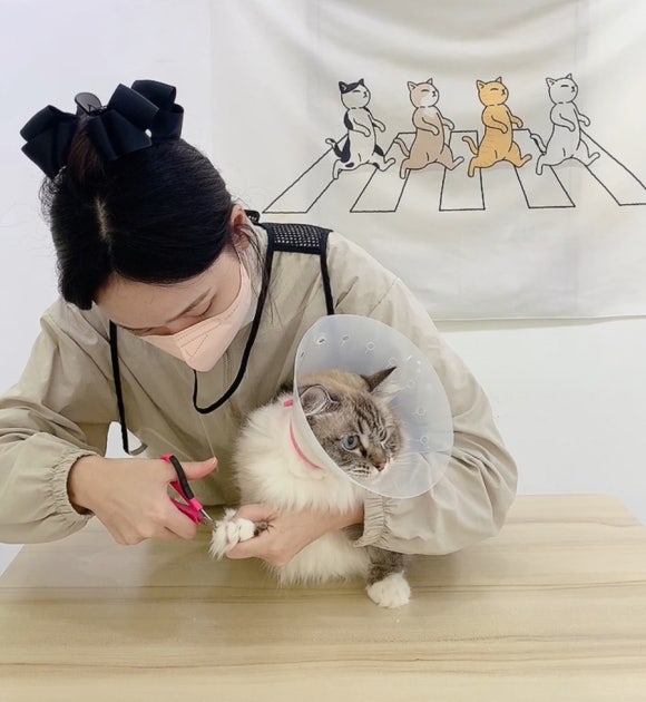 재이미 이미지