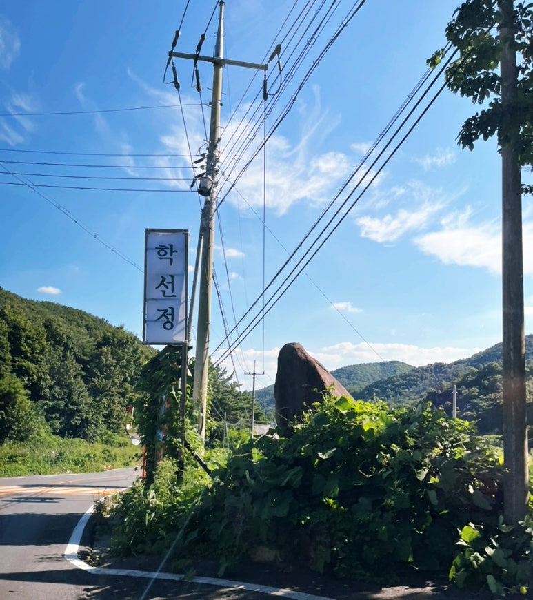 학선정 이미지
