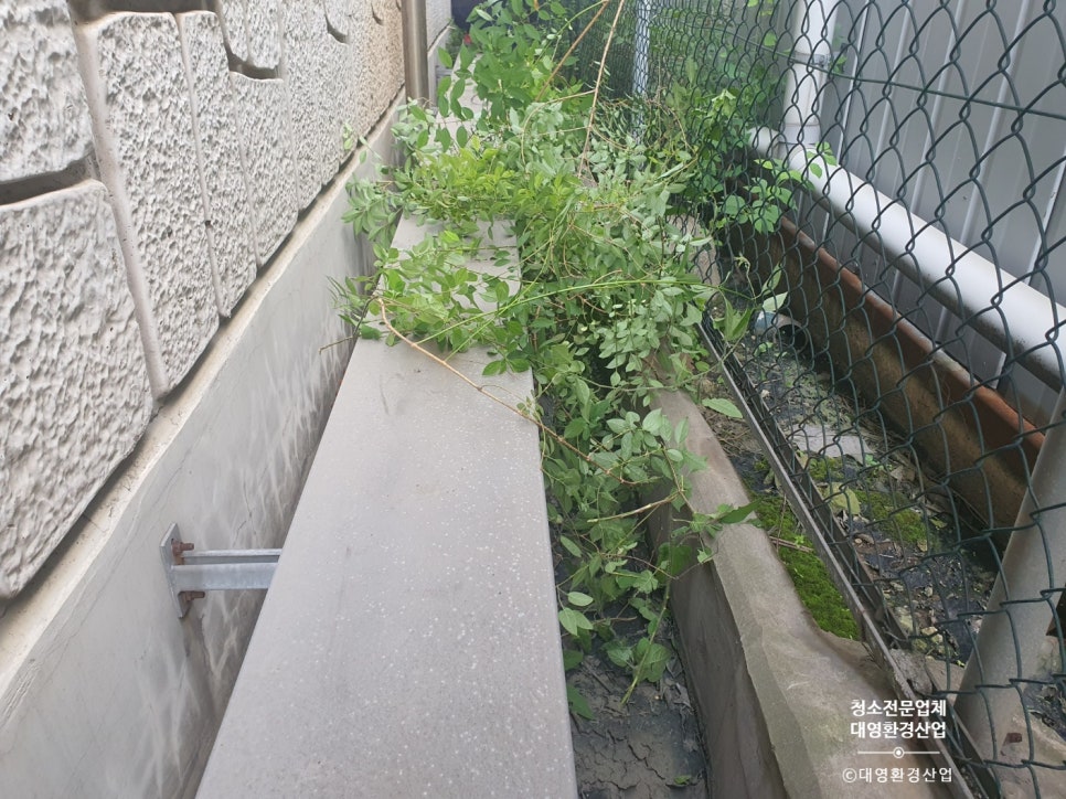 대영환경산업 이미지