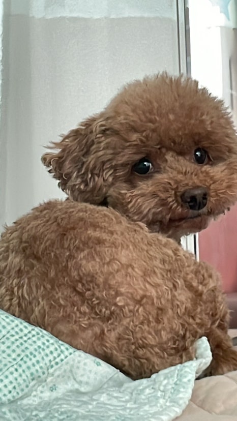 잘자 이미지