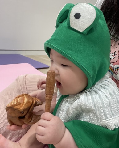개구리화원 이미지