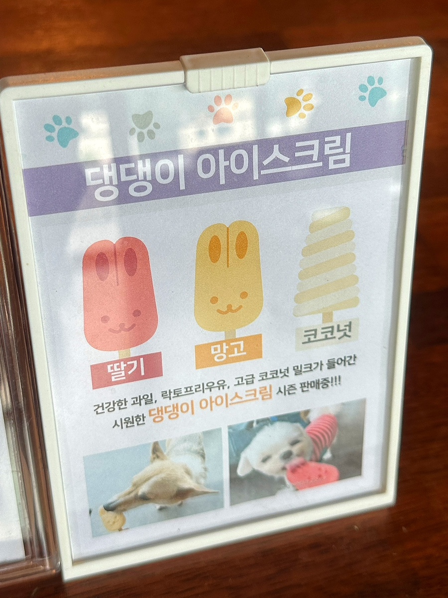 용인 별똥구리 애견운동장 재방문 후기 및 꿀팁 — 사진 6