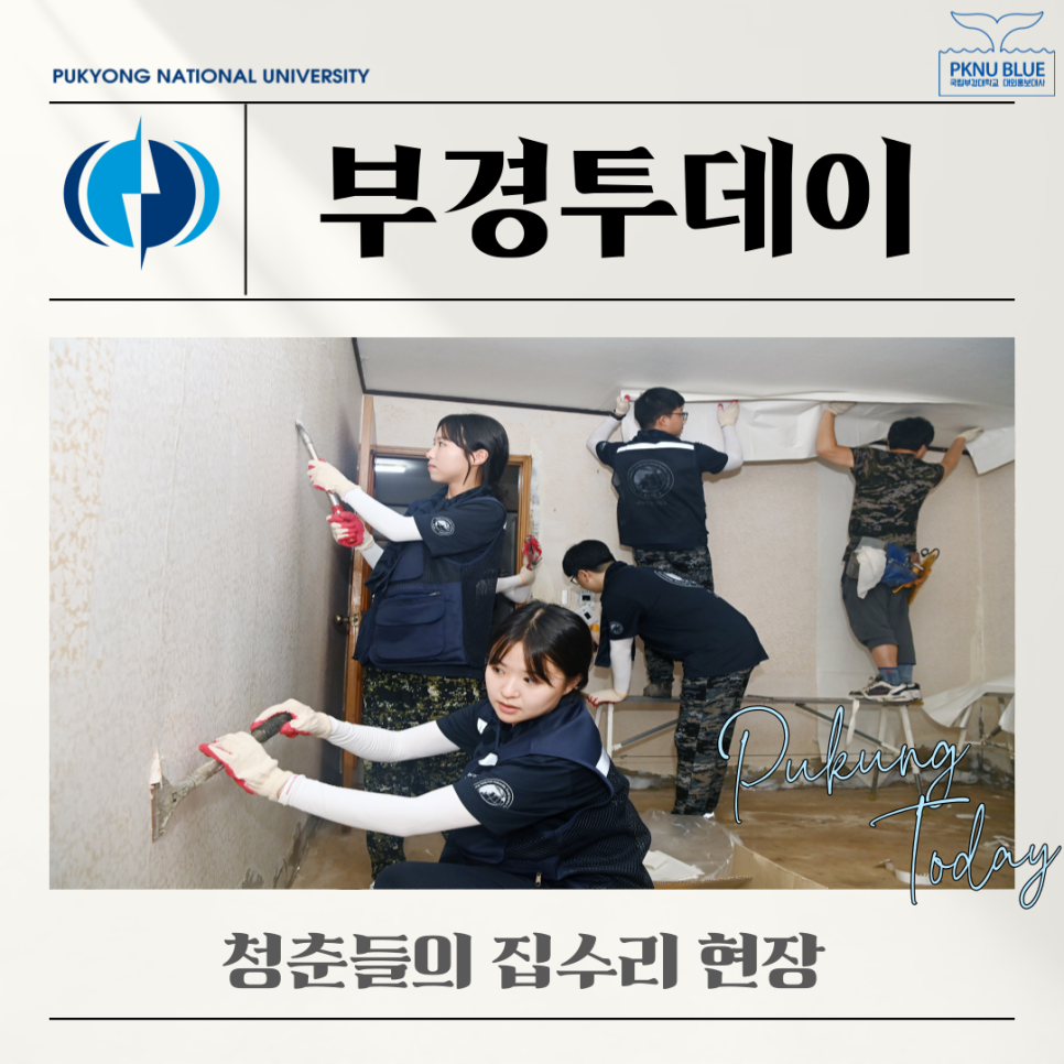청춘집수리 이미지