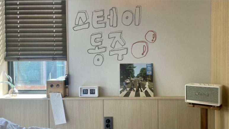 스테이동주 이미지