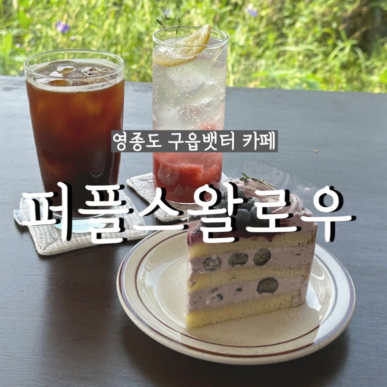 퍼플 스왈로우 이미지