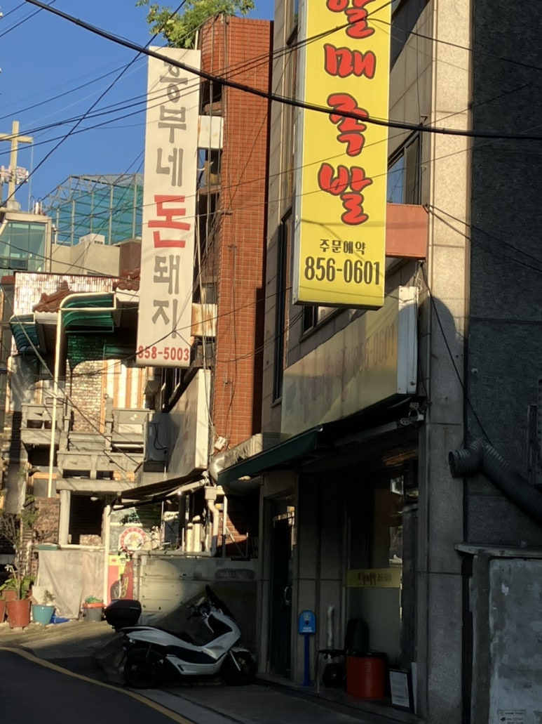 흥부네돈돼지 이미지