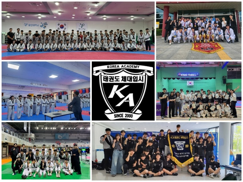 한국태권도컨설팅 이미지