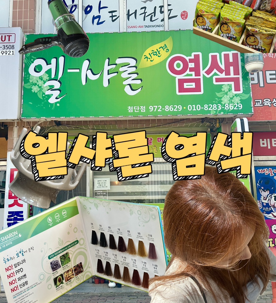 엘샤론 이미지