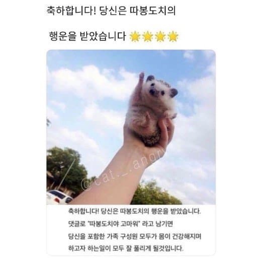 따봉 이미지