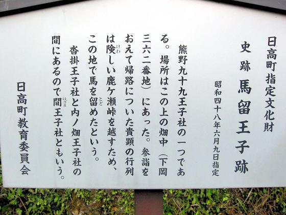 왕자사 이미지