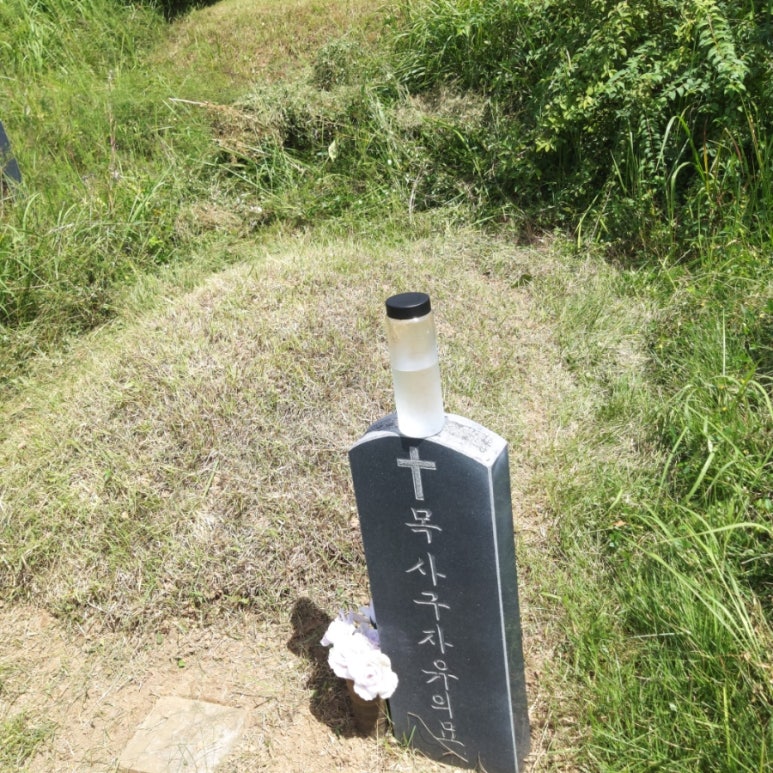 주식회사 형제****** 이미지