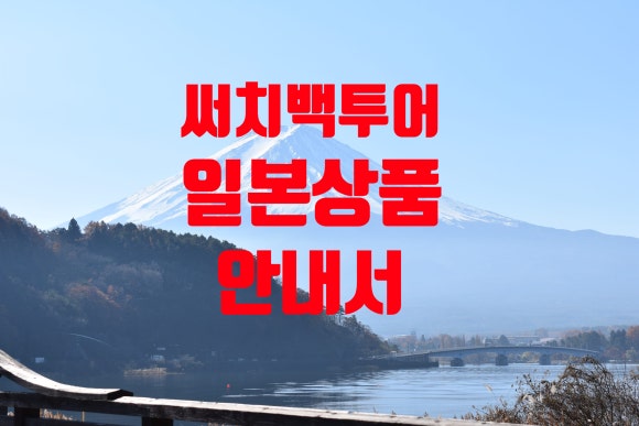 써치백투어 이미지