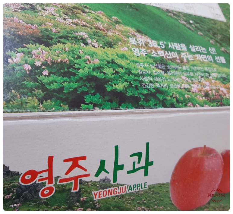 풍기인삼시장 한보인삼사 이미지