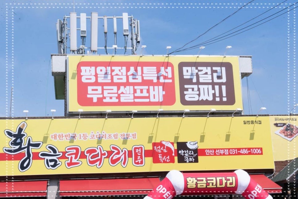 황금코다리안산 이미지