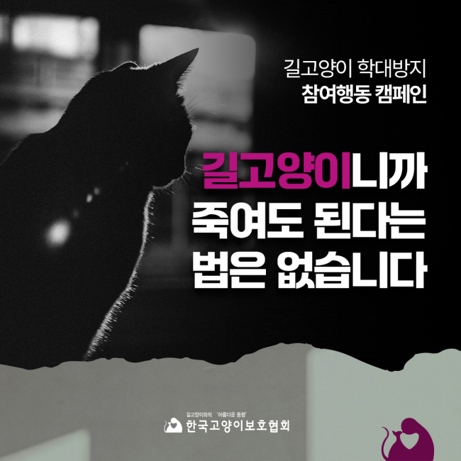 동물보호협회 동행 이미지