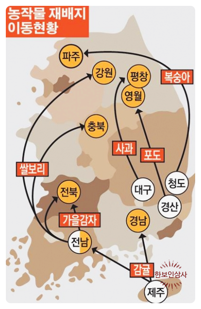 풍기인삼시장 한보인삼사 이미지