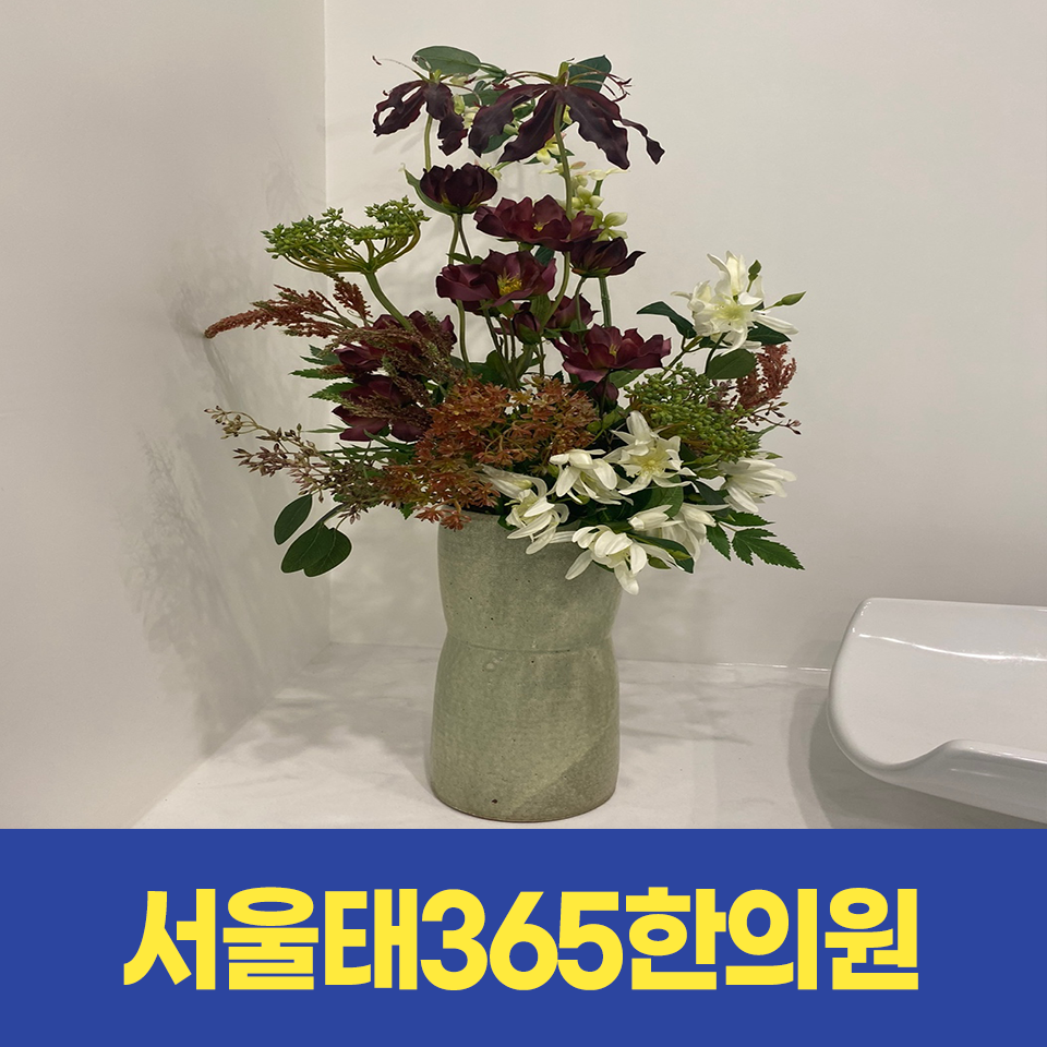 서울태365한의원 이미지